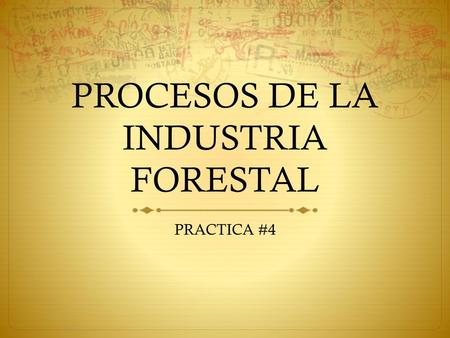 PROCESOS DE LA INDUSTRIA FORESTAL