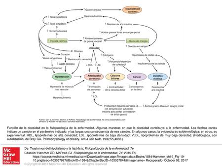 Función de la obesidad en la fisiopatología de la enfermedad