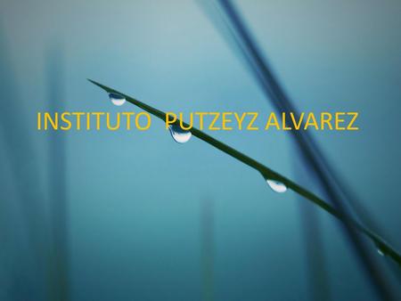 INSTITUTO PUTZEYZ ALVAREZ