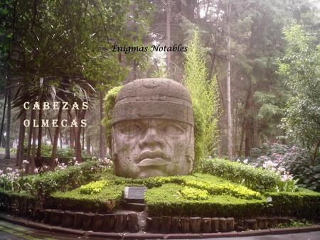 Enigmas Notables C a b e z a s O l m e c a s.
