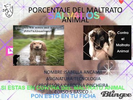 PORCENTAJE DEL MALTRATO ANIMAL