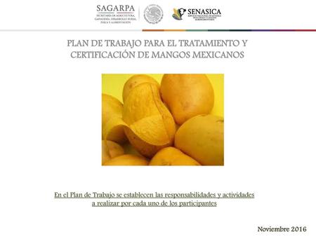 PLAN DE TRABAJO PARA EL TRATAMIENTO Y