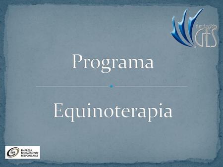 Programa Equinoterapia
