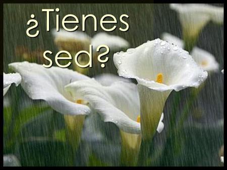 ¿Tienes sed?.