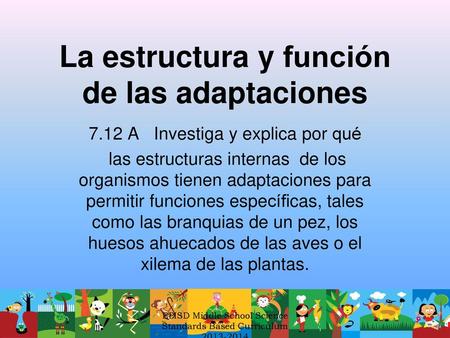 La estructura y función de las adaptaciones