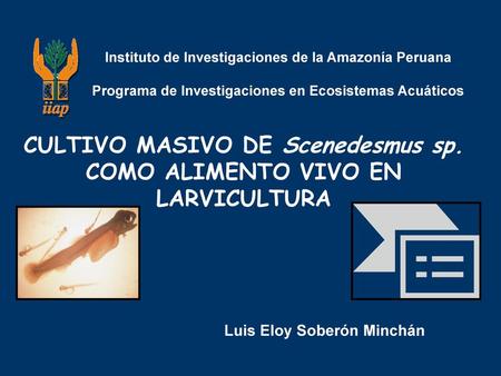CULTIVO MASIVO DE Scenedesmus sp. COMO ALIMENTO VIVO EN LARVICULTURA