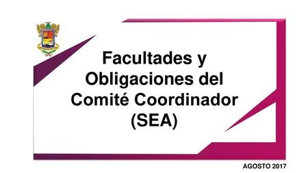 Facultades y Obligaciones del Comité Coordinador