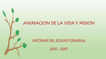 ANIMACION DE LA VIDA Y MISION INFORME DEL EQUIPO GENERAL