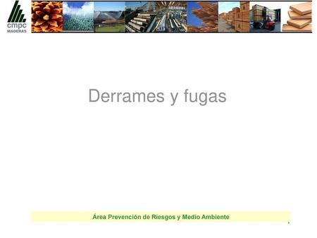 Área Prevención de Riesgos y Medio Ambiente