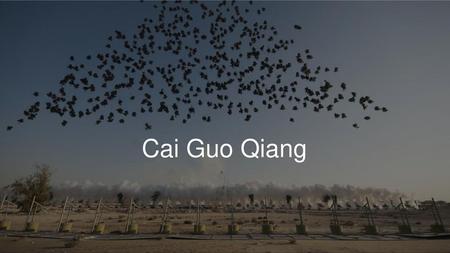 Cai Guo Qiang.