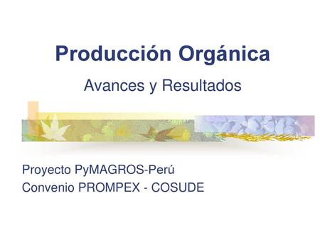 Producción Orgánica Avances y Resultados