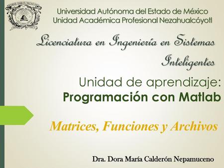 Licenciatura en Ingeniería en Sistemas Inteligentes