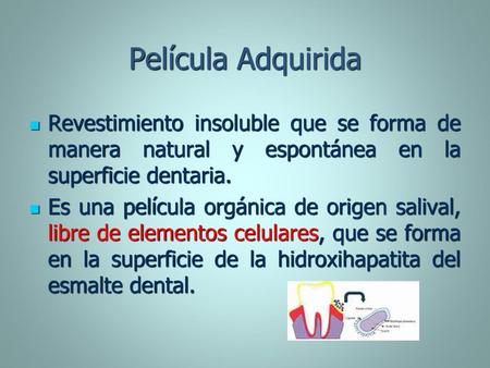 Película Adquirida Revestimiento insoluble que se forma de manera natural y espontánea en la superficie dentaria. Es una película orgánica de origen salival,