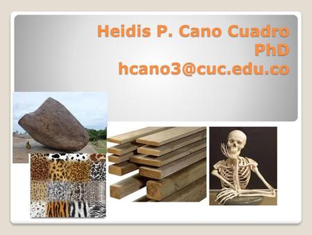 Heidis P. Cano Cuadro PhD