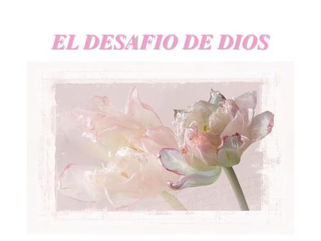 EL DESAFIO DE DIOS.