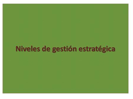 Niveles de gestión estratégica. Estrategia Funcional El principal objetivo de la estrategia es la creación de una ventaja competitiva sostenible en el.