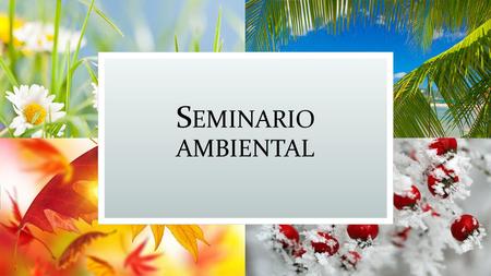 S EMINARIO AMBIENTAL. P UNTOS DE PARTIDA Observaciones Generales para el Curso.