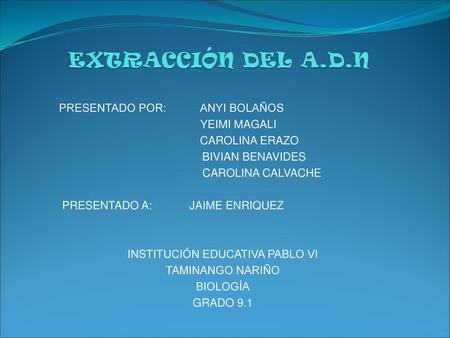 INSTITUCIÓN EDUCATIVA PABLO VI