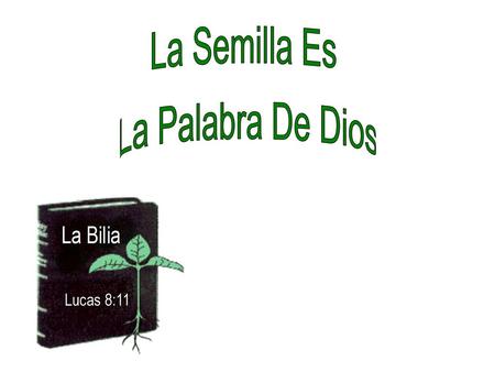 La Semilla Es La Palabra De Dios Lucas 8:11.