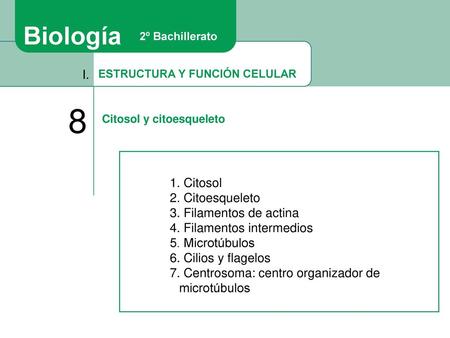 8 Biología I. 1. Citosol 2. Citoesqueleto 3. Filamentos de actina