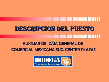 DESCRIPCION DEL PUESTO