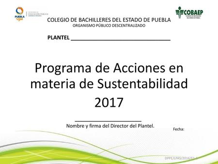 Programa de Acciones en materia de Sustentabilidad 2017