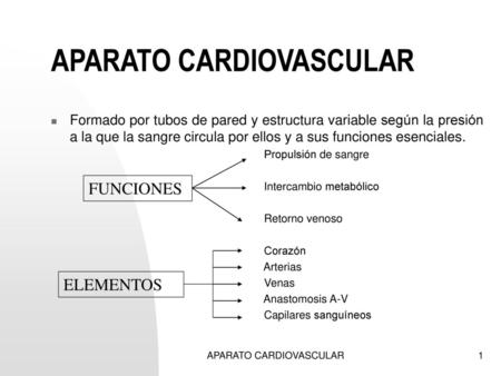 APARATO CARDIOVASCULAR