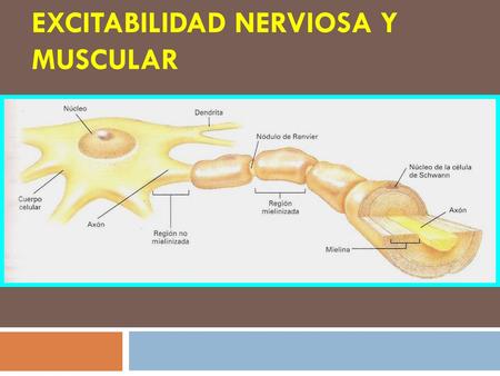 Excitabilidad Nerviosa y Muscular