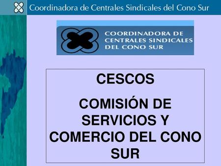 COMISIÓN DE SERVICIOS Y COMERCIO DEL CONO SUR