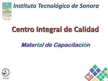 Instituto Tecnológico de Sonora