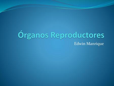 Órganos Reproductores