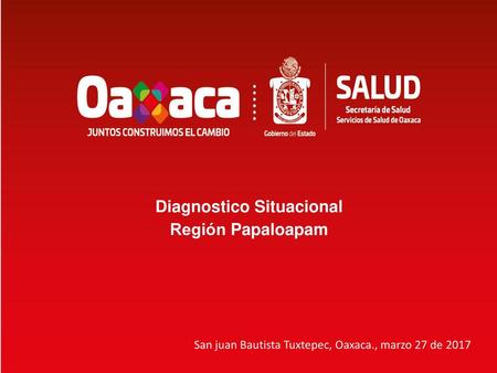 Diagnostico Situacional Región Papaloapam