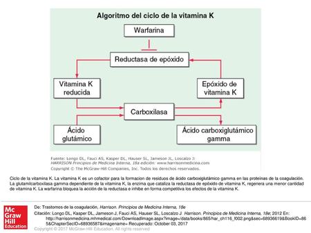 Ciclo de la vitamina K. La vitamina K es un cofactor para la formacion de residuos de ácido carboxiglutámico gamma en las proteínas de la coagulación.