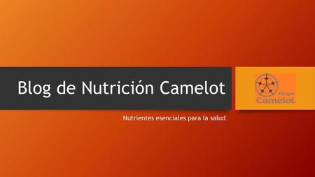 Blog de Nutrición Camelot