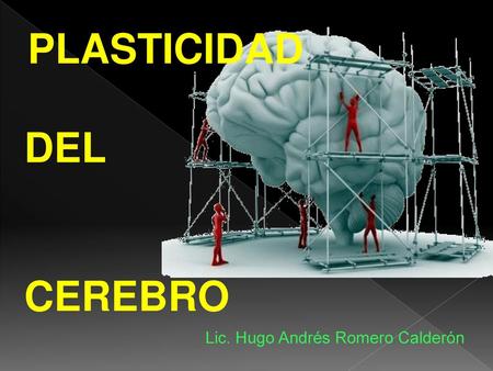 PLASTICIDAD DEL CEREBRO Lic. Hugo Andrés Romero Calderón.