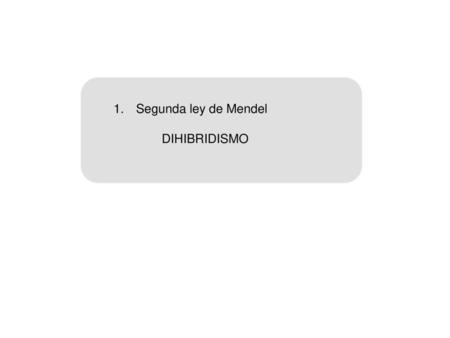Segunda ley de Mendel DIHIBRIDISMO.