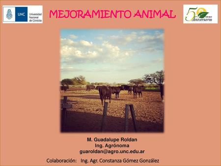 MEJORAMIENTO ANIMAL Colaboración: Ing. Agr. Constanza Gómez González