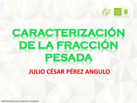JULIO CÉSAR PÉREZ ANGULO