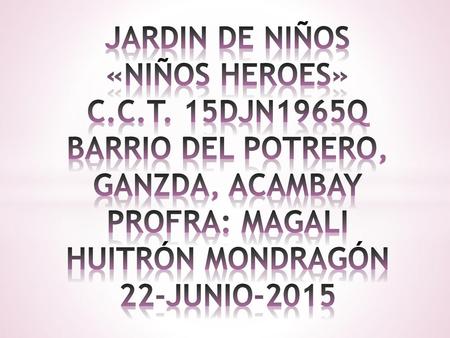 JARDIN DE NIÑOS «NIÑOS HEROES» C. C. T