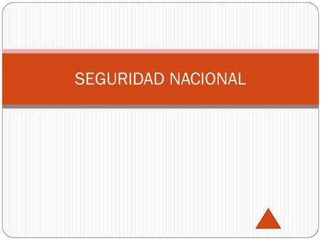 SEGURIDAD NACIONAL.