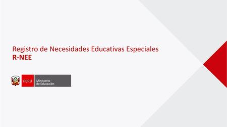 Registro de Necesidades Educativas Especiales R-NEE