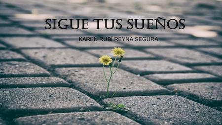 SIGUE TUS SUEÑOS KAREN RUBÍ REYNA SEGURA. UN SUEÑO NO SE HACE REALIDAD MÁGIAMENTE:SE NECESITA SUDAR, DETERMINACIÓN Y TRABAJO DURO. -Colín Powell.
