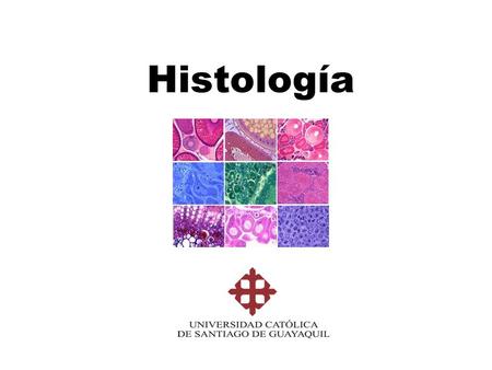 Histología. Ciencias Biológicas Ciencias Morfológicas Ciencias Fisiológicas.