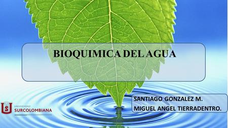 BIOQUIMICA DEL AGUA SANTIAGO GONZALEZ M. MIGUEL ANGEL TIERRADENTRO.
