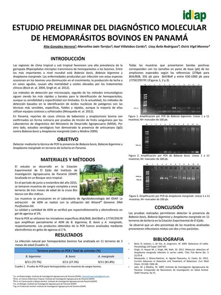 Terneros positivos en PCR / Total de animales (%)