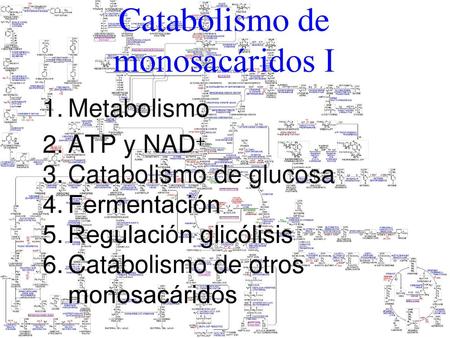 Catabolismo de monosacáridos I