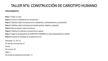 TALLER N°6: CONSTRUCCIÓN DE CARIOTIPO HUMANO