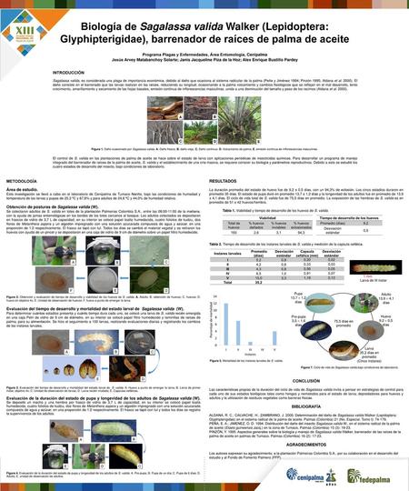 Programa Plagas y Enfermedades, Área Entomología, Cenipalma