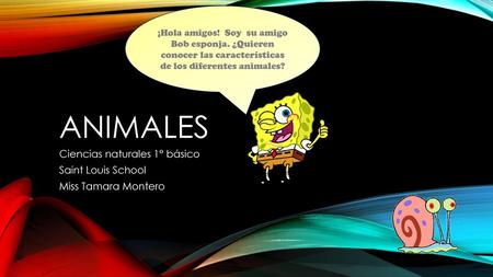 Ciencias naturales 1° básico Saint Louis School Miss Tamara Montero