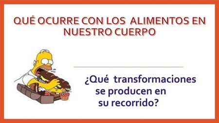 Qué ocurre con los Alimentos en nuestro cuerpo